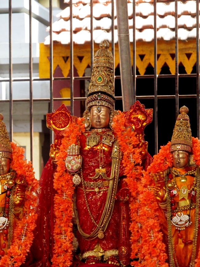 Thiruvallur Sri Veeraraghava Perumal Chithirai Brahmotsavam Day 4 Morning 07-05-2014    31