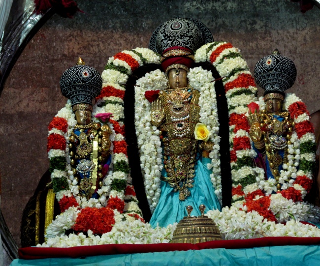 Thiruvallur Sri Veeraraghava Perumal Chithirai Brahmotsavam Day 4 Night 07-05-2014    20