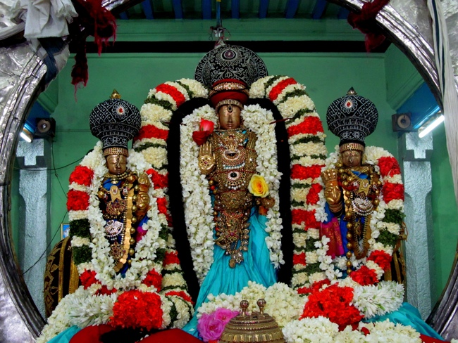 Thiruvallur Sri Veeraraghava Perumal Chithirai Brahmotsavam Day 4 Night 07-05-2014    29