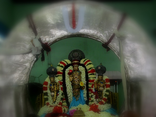 Thiruvallur Sri Veeraraghava Perumal Chithirai Brahmotsavam Day 4 Night 07-05-2014    31