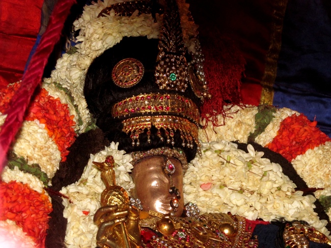 Thiruvallur Sri Veeraraghava Perumal Chithirai Brahmotsavam Day 5 Morning 08-05-2014    18
