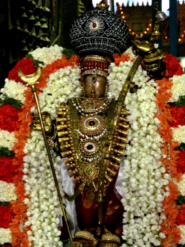 Thiruvallur Sri Veeraraghava Perumal Chithirai Brahmotsavam Day 5 Night 08-05-2014    09