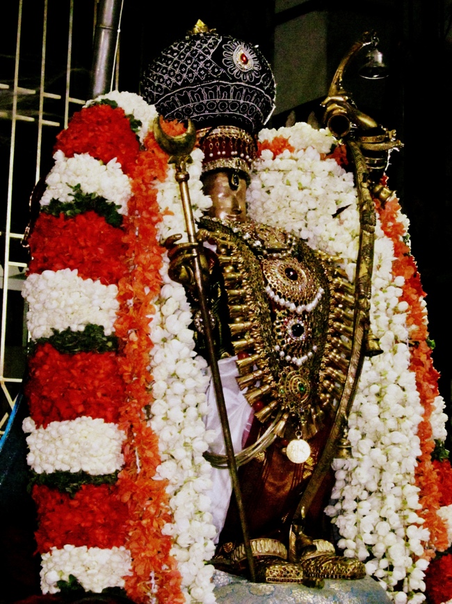 Thiruvallur Sri Veeraraghava Perumal Chithirai Brahmotsavam Day 5 Night 08-05-2014    16
