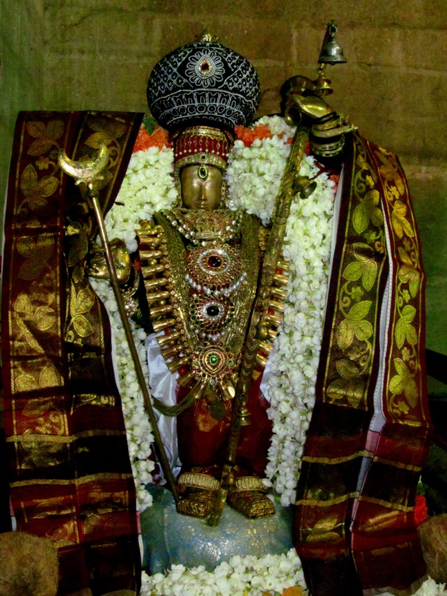 Thiruvallur Sri Veeraraghava Perumal Chithirai Brahmotsavam Day 5 Night 08-05-2014    18