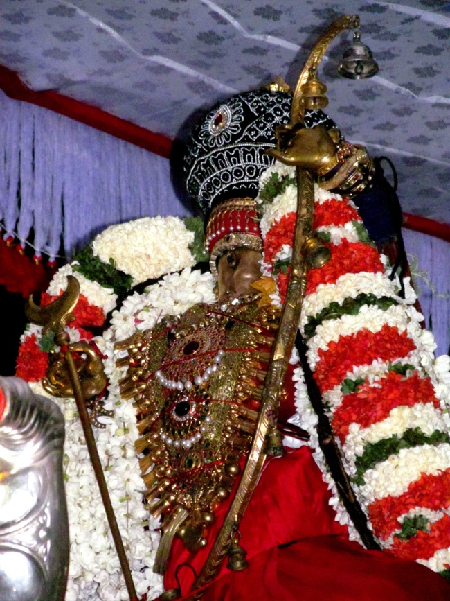 Thiruvallur Sri Veeraraghava Perumal Chithirai Brahmotsavam Day 5 Night 08-05-2014    34