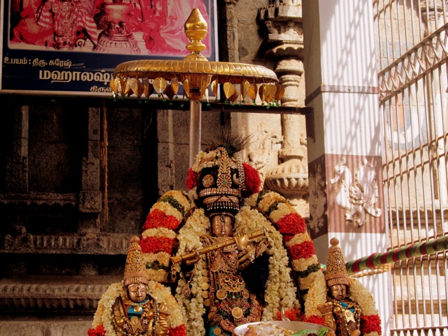 Thiruvallur Sri Veeraraghava Perumal Chithirai Brahmotsavam Day 6 Morning 09-05-2014    26