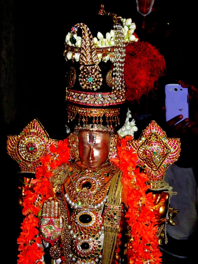 Thiruvallur Sri Veeraraghava Perumal Chithirai Brahmotsavam Day 8 Night 11-05-2014    14