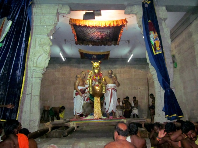 Thiruvallur Sri Veeraraghava Perumal Chithirai Brahmotsavam Day 8 Night 11-05-2014    15