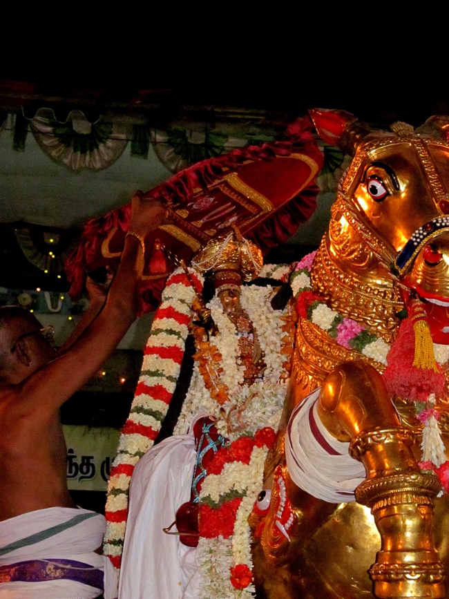 Thiruvallur Sri Veeraraghava Perumal Chithirai Brahmotsavam Day 8 Night 11-05-2014    16