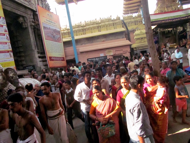 Thiruvallur Sri Veeraraghava Perumal Chithirai Brahmotsavam Day 9 Morning 12-05-2014   19