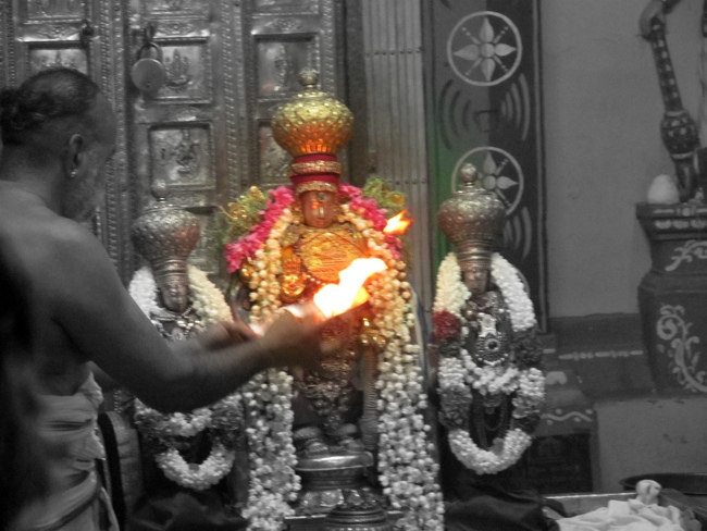 Thiruvallur Sri Veeraraghava Perumal Chithirai Brahmotsavam Day 9 Night 12-05-2014   02