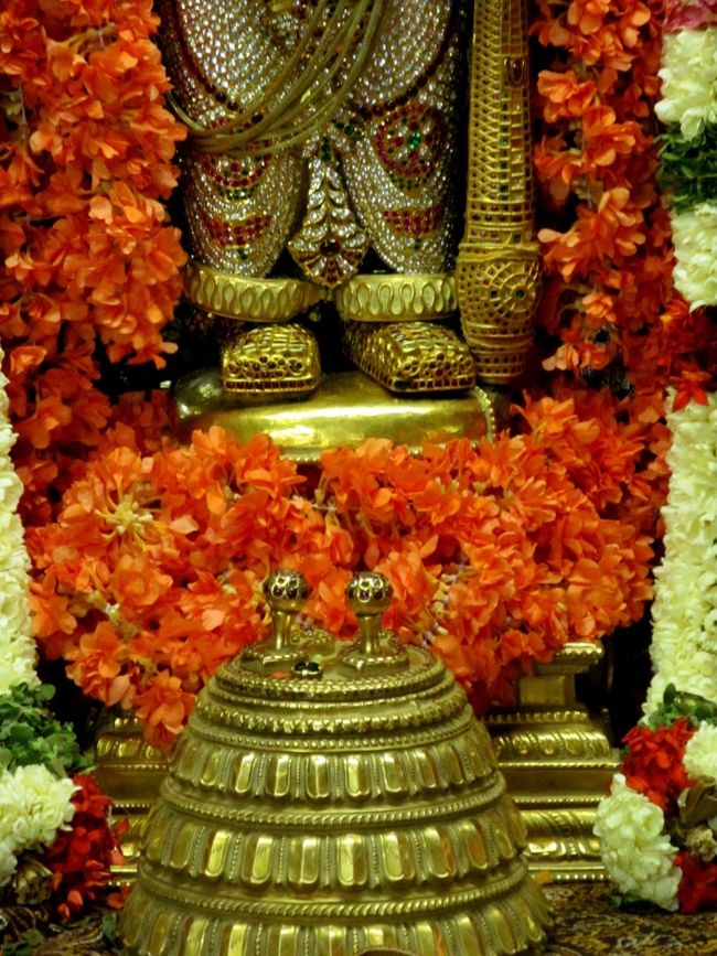 Thiruvallur Sri Veeraraghava Perumal Chithirai Brahmotsavam Day 9 Night 12-05-2014   23