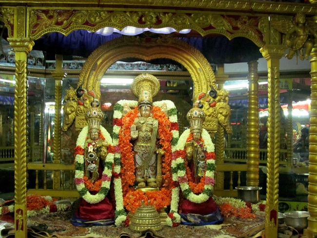 Thiruvallur Sri Veeraraghava Perumal Chithirai Brahmotsavam Day 9 Night 12-05-2014   24