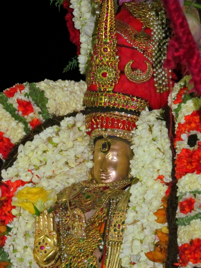 Thiruvallur Sri Veeraraghava Perumal Chithirai Brahmotsavam Pusha Pallaku  Night 16-05-2014   20