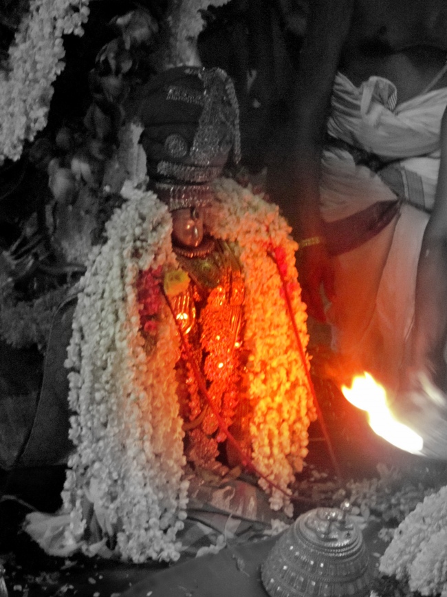 Thiruvallur Sri Veeraraghava Perumal Chithirai Brahmotsavam Pusha Pallaku  Night 16-05-2014   29
