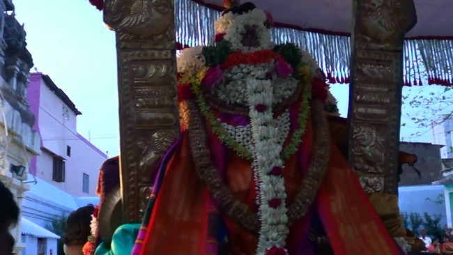 Thiruvelukkai Kadai Vellikizhamai Amirthavalli Thayar Purappadu 2014 -06