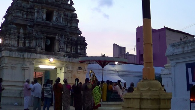 Thiruvelukkai Kadai Vellikizhamai Amirthavalli Thayar Purappadu 2014 -07