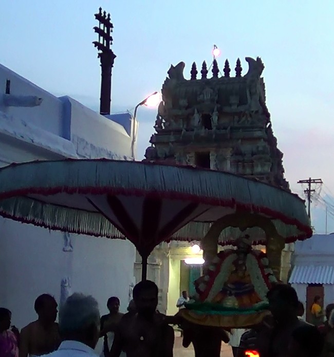 Thiruvelukkai Kadai Vellikizhamai Amirthavalli Thayar Purappadu 2014 -09