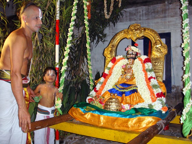 Thiruvelukkai Kadai Vellikizhamai Amirthavalli Thayar Purappadu 2014 -17