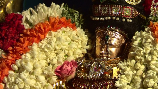 Thiruvelukkai Kadai Vellikizhamai Amirthavalli Thayar Purappadu 2014 -27