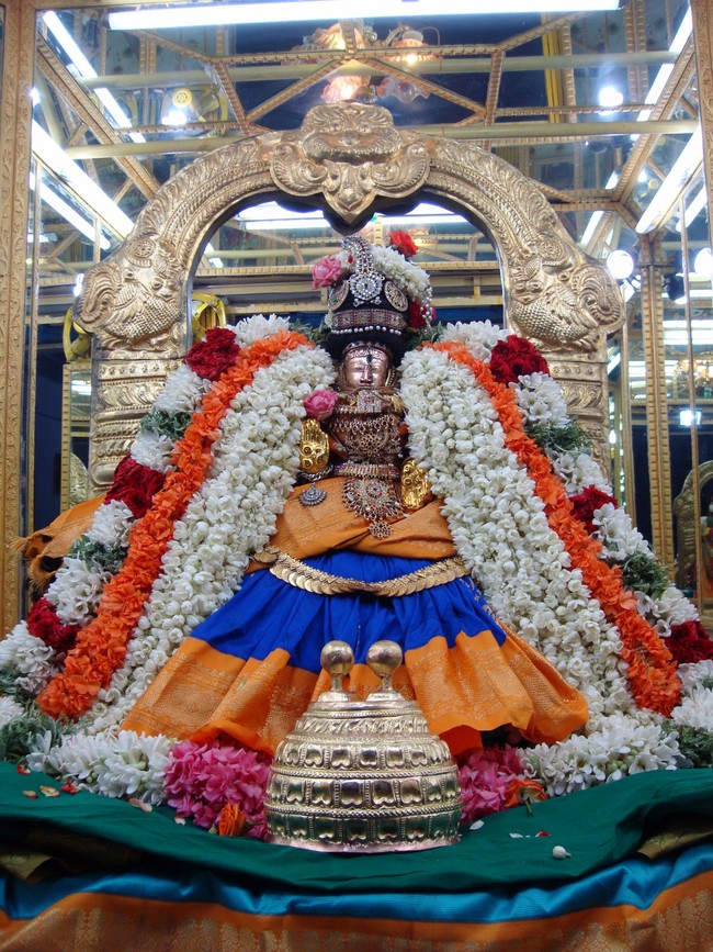 Thiruvelukkai Kadai Vellikizhamai Amirthavalli Thayar Purappadu 2014 -31