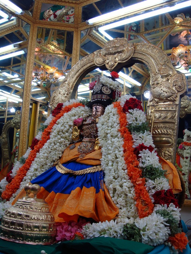 Thiruvelukkai Kadai Vellikizhamai Amirthavalli Thayar Purappadu 2014 -33