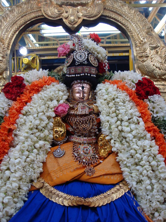 Thiruvelukkai Kadai Vellikizhamai Amirthavalli Thayar Purappadu 2014 -36