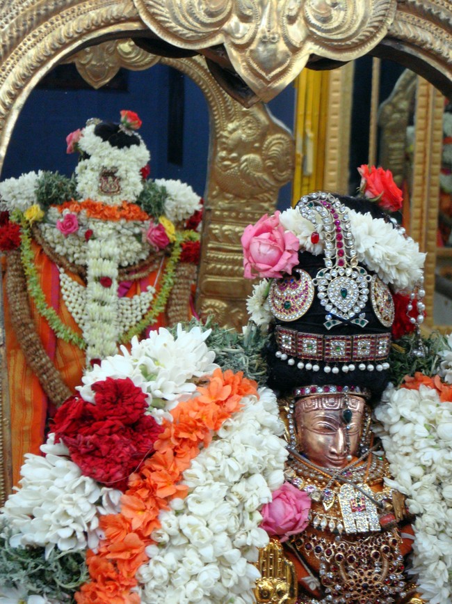 Thiruvelukkai Kadai Vellikizhamai Amirthavalli Thayar Purappadu 2014 -38