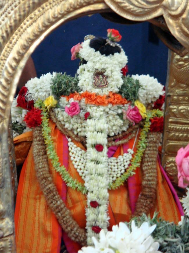 Thiruvelukkai Kadai Vellikizhamai Amirthavalli Thayar Purappadu 2014 -39