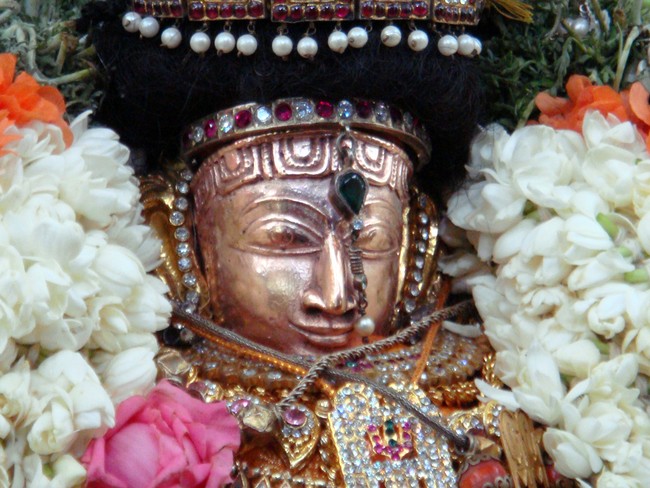 Thiruvelukkai Kadai Vellikizhamai Amirthavalli Thayar Purappadu 2014 -41