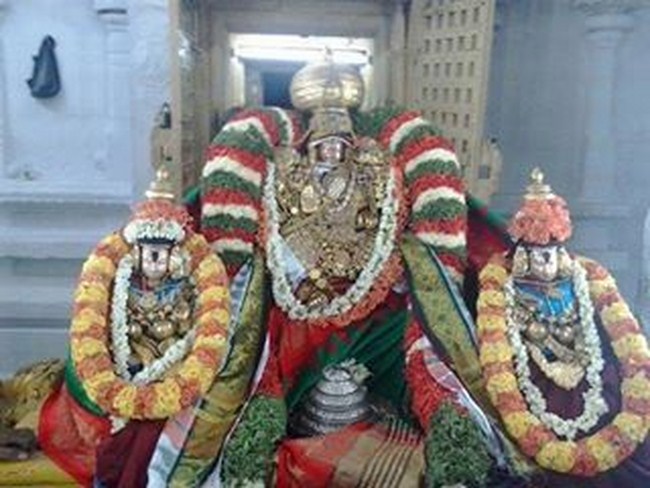 Tirupathi Sri Govindaraja swamy temple bhasyakara jayanthi uthsavam 20