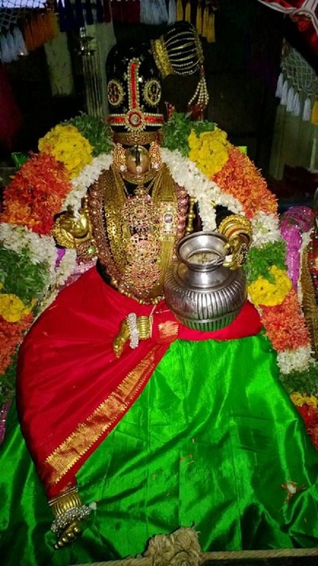 Vanamamalai Sri Deivanayaga Perumal Chithirai Brahmothsavam17