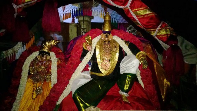 Vanamamalai Sri Deivanayaga Perumal Chithirai Brahmothsavam18