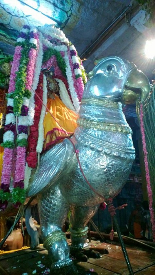Vanamamalai Sri Deivanayaga Perumal Chithirai Brahmothsavam20