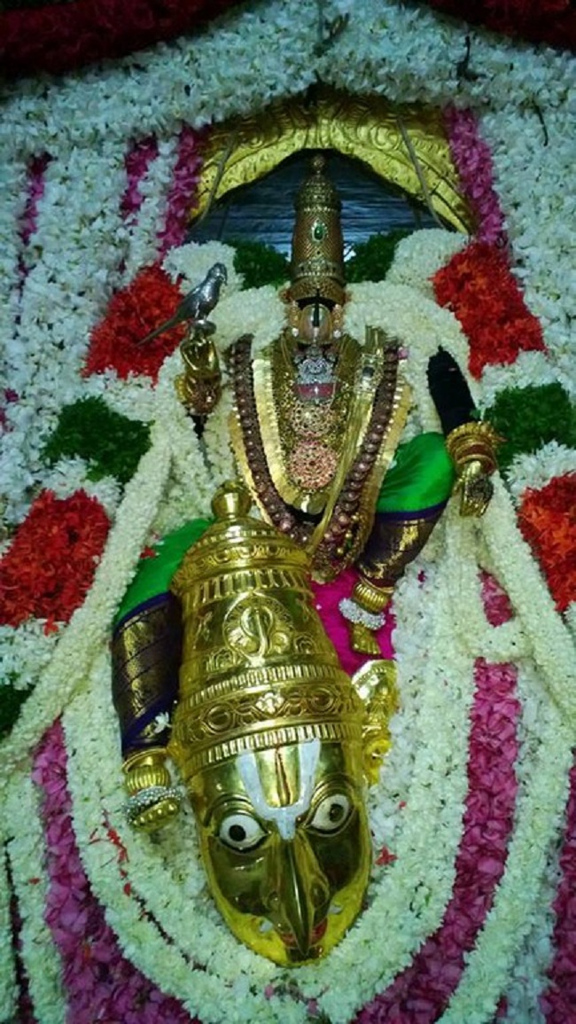 Vanamamalai Sri Deivanayaga Perumal Chithirai Brahmothsavam22