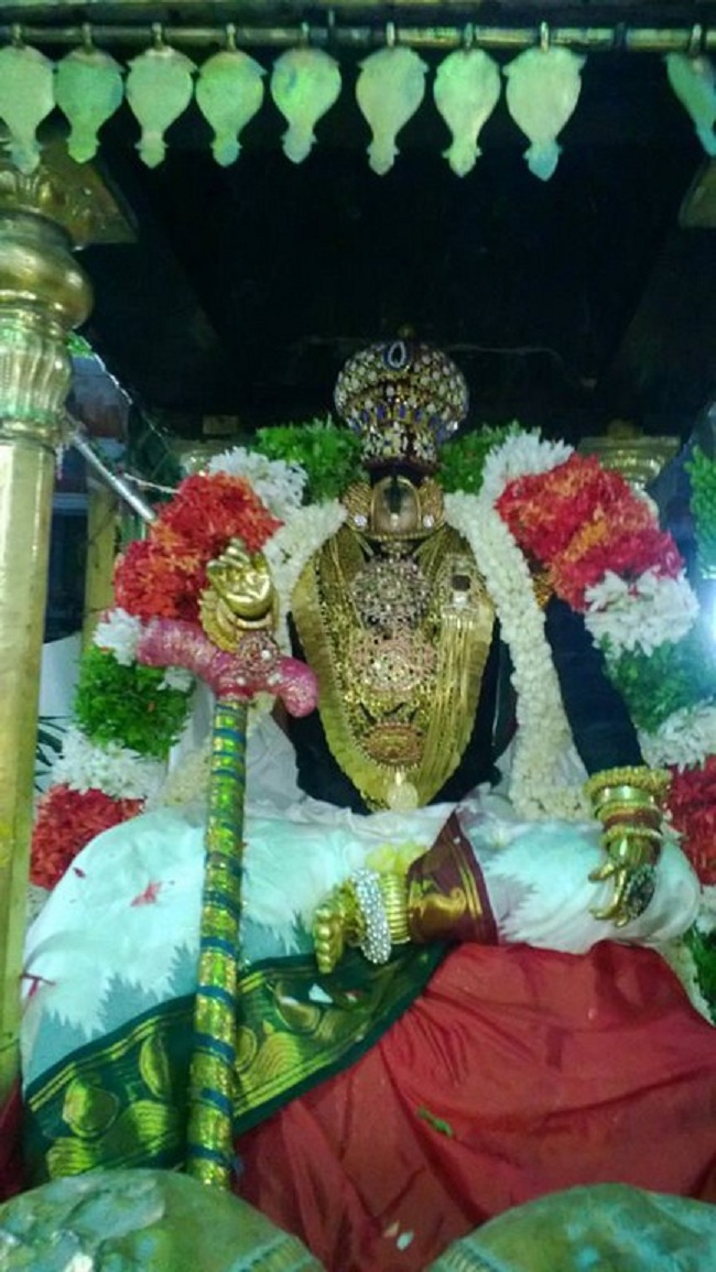 Vanamamalai Sri Deivanayaga Perumal Chithirai Brahmothsavam24