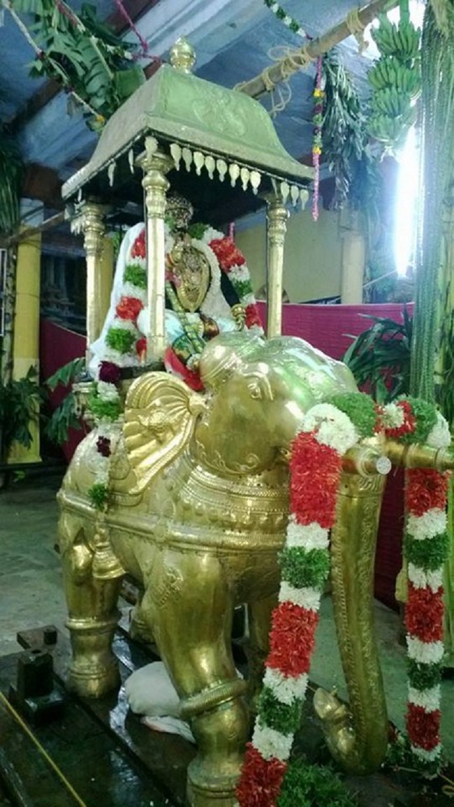 Vanamamalai Sri Deivanayaga Perumal Chithirai Brahmothsavam27
