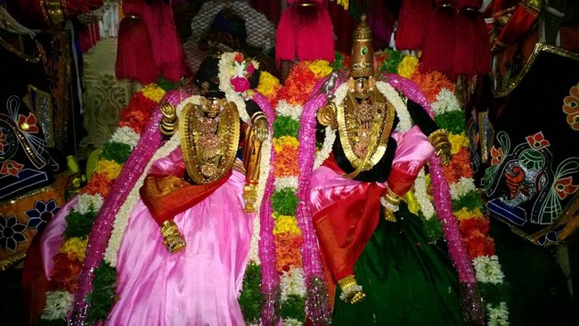 Vanamamalai Sri Deivanayaga Perumal Chithirai Brahmothsavam5