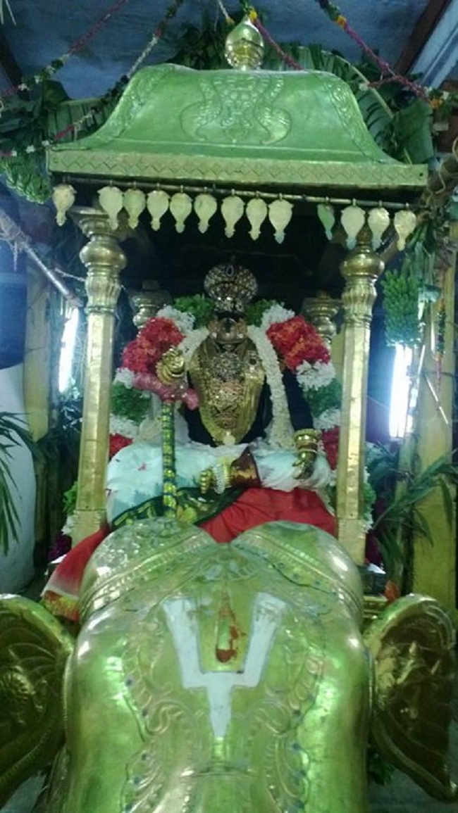 Vanamamalai Sri Deivanayaga Perumal Chithirai Brahmothsavam6