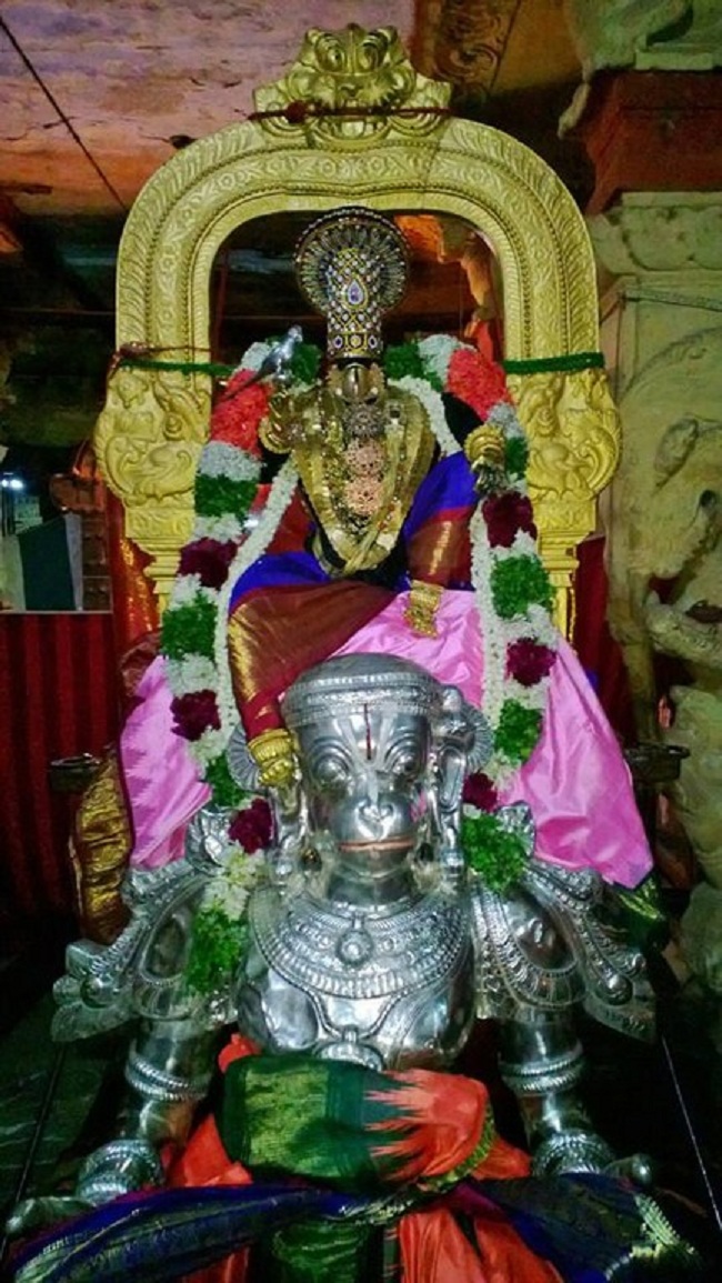 Vanamamalai Sri Deivanayaga Perumal Chitrai Brahmothsavam 10