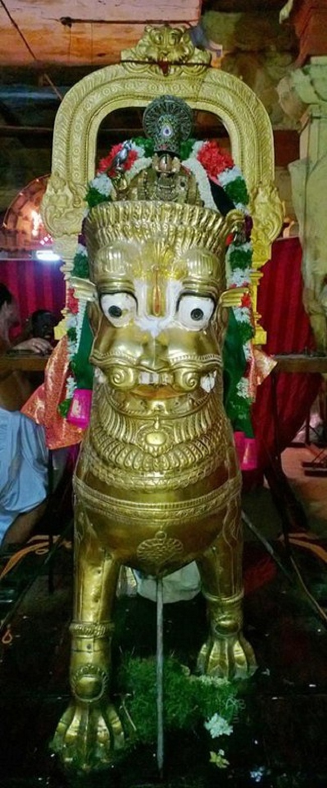 Vanamamalai Sri Deivanayaga Perumal Chitrai Brahmothsavam 13