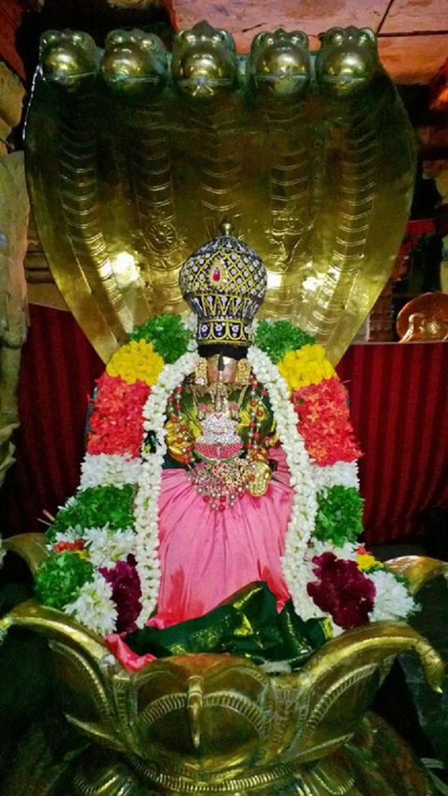 Vanamamalai Sri Deivanayaga Perumal Chitrai Brahmothsavam 16