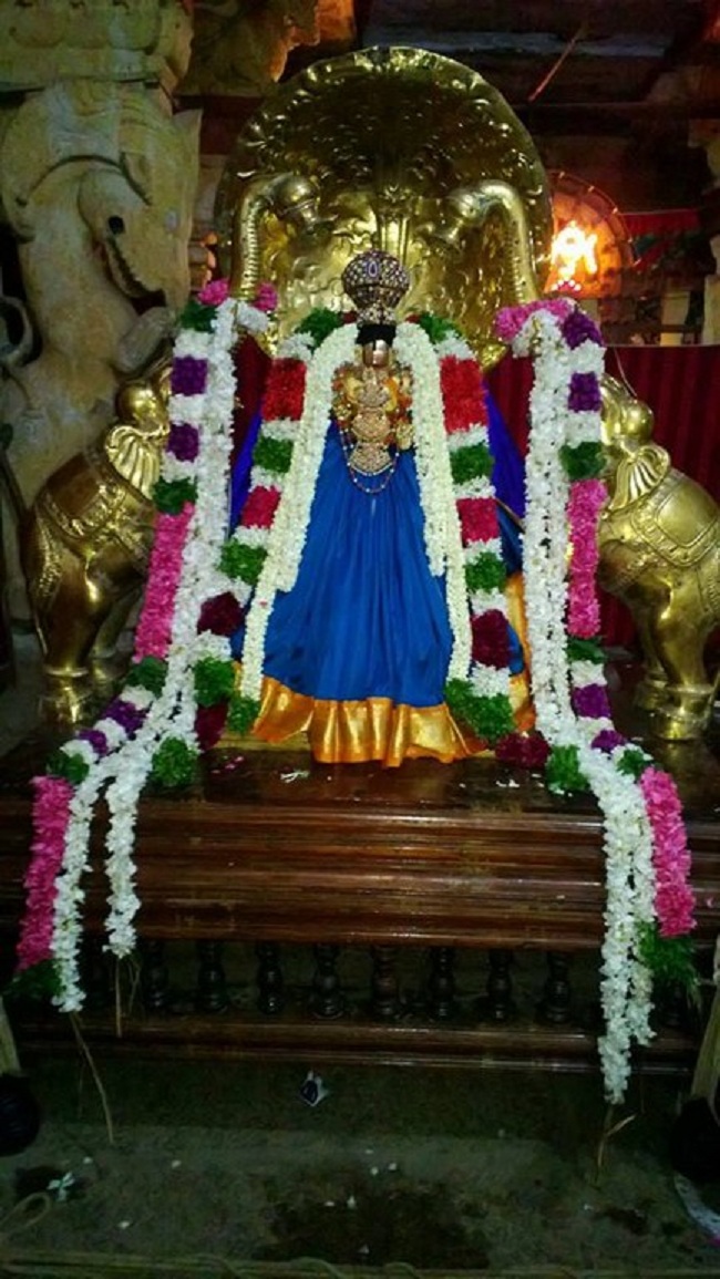Vanamamalai Sri Deivanayaga Perumal Chitrai Brahmothsavam 2