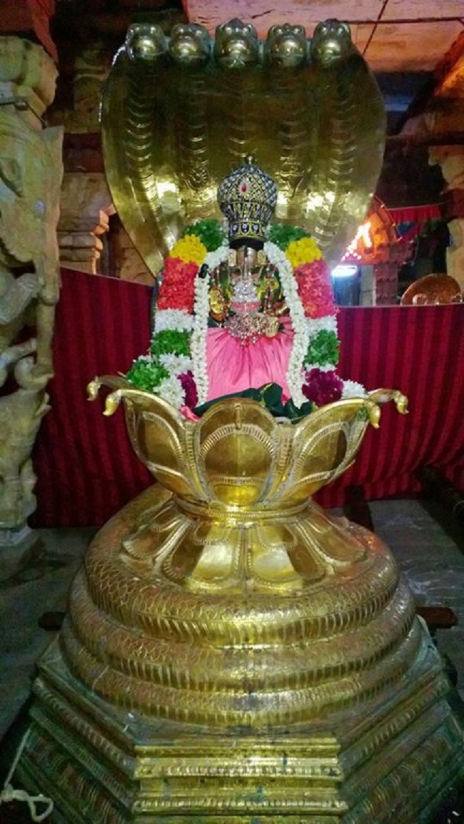 Vanamamalai Sri Deivanayaga Perumal Chitrai Brahmothsavam 5