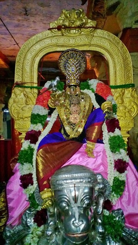 Vanamamalai Sri Deivanayaga Perumal Chitrai Brahmothsavam 8