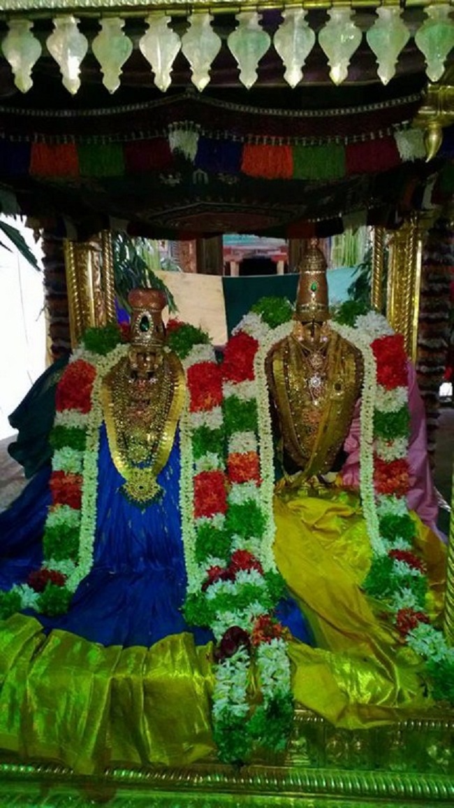 Vanamamalai Sri Deivanayagan Chithirai Brahmothsavam10