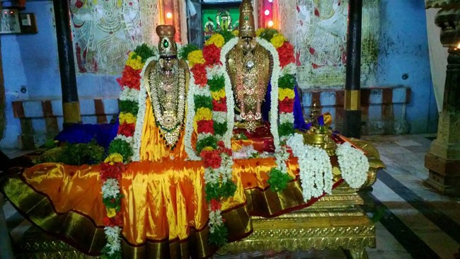 Vanamamalai Sri Deivanayagan Chithirai Brahmothsavam11