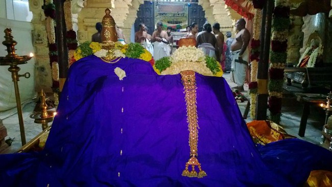 Vanamamalai Sri Deivanayagan Chithirai Brahmothsavam12