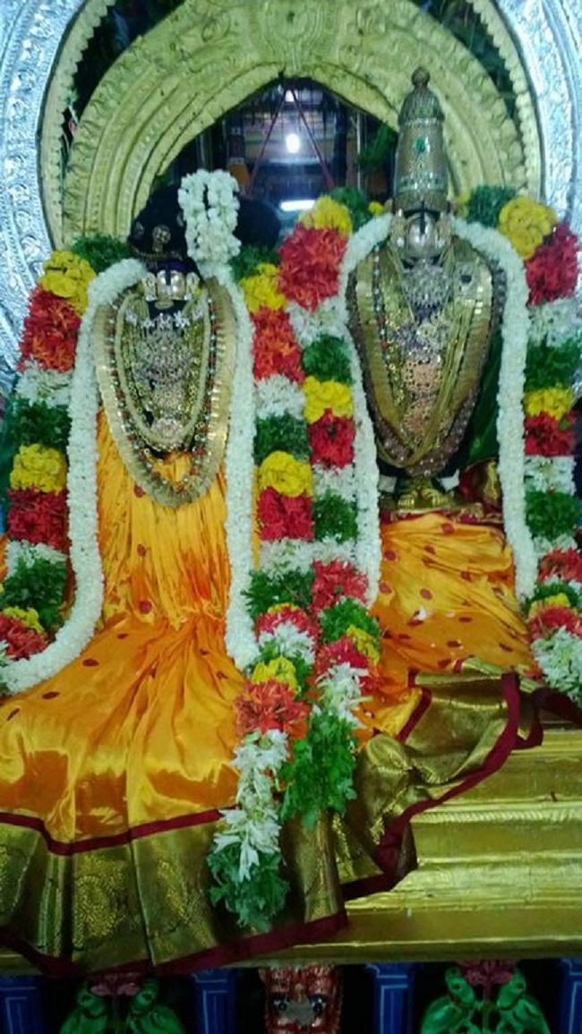 Vanamamalai Sri Deivanayagan Chithirai Brahmothsavam16