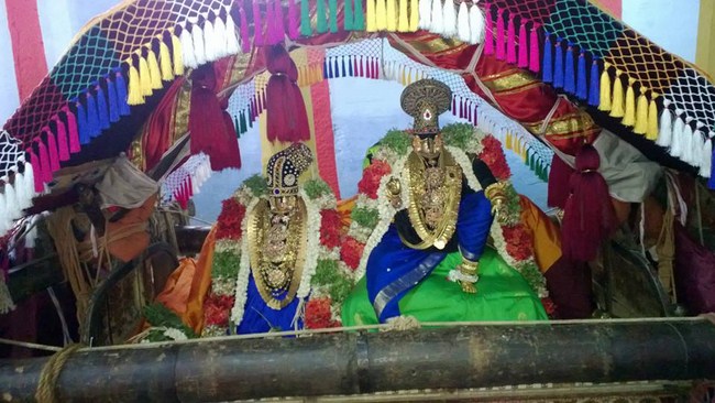 Vanamamalai Sri Deivanayagan Chithirai Brahmothsavam6